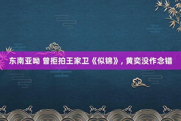 东南亚呦 曾拒拍王家卫《似锦》, 黄奕没作念错